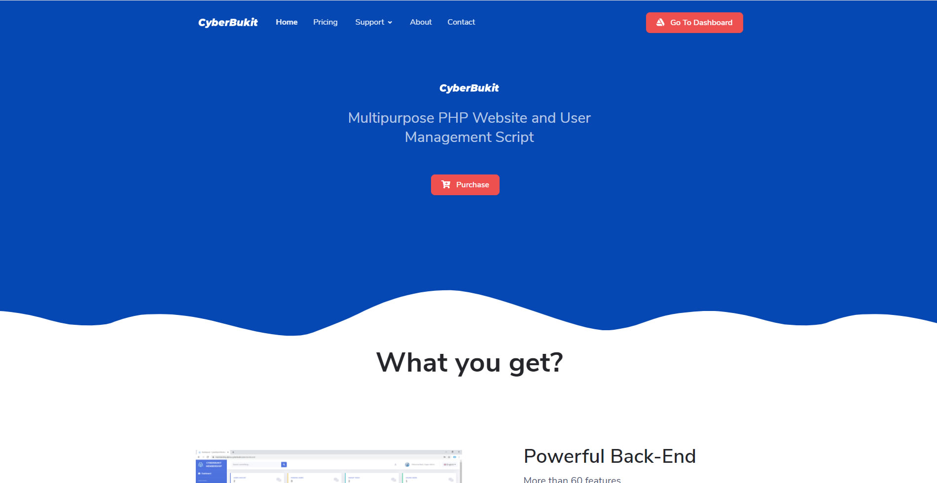 Front-End Preview